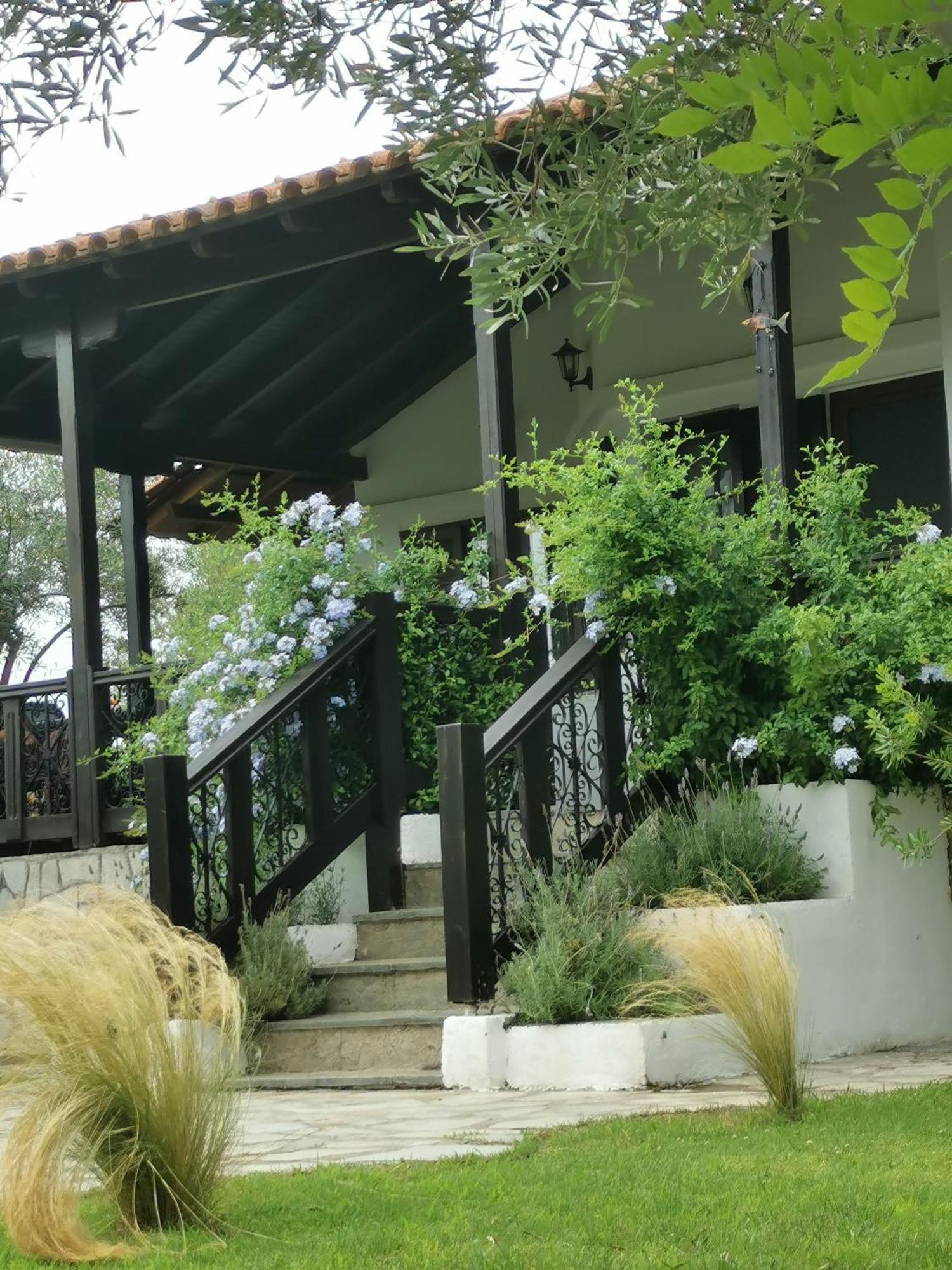 Villa Joy Ormos Panagias Exterior photo