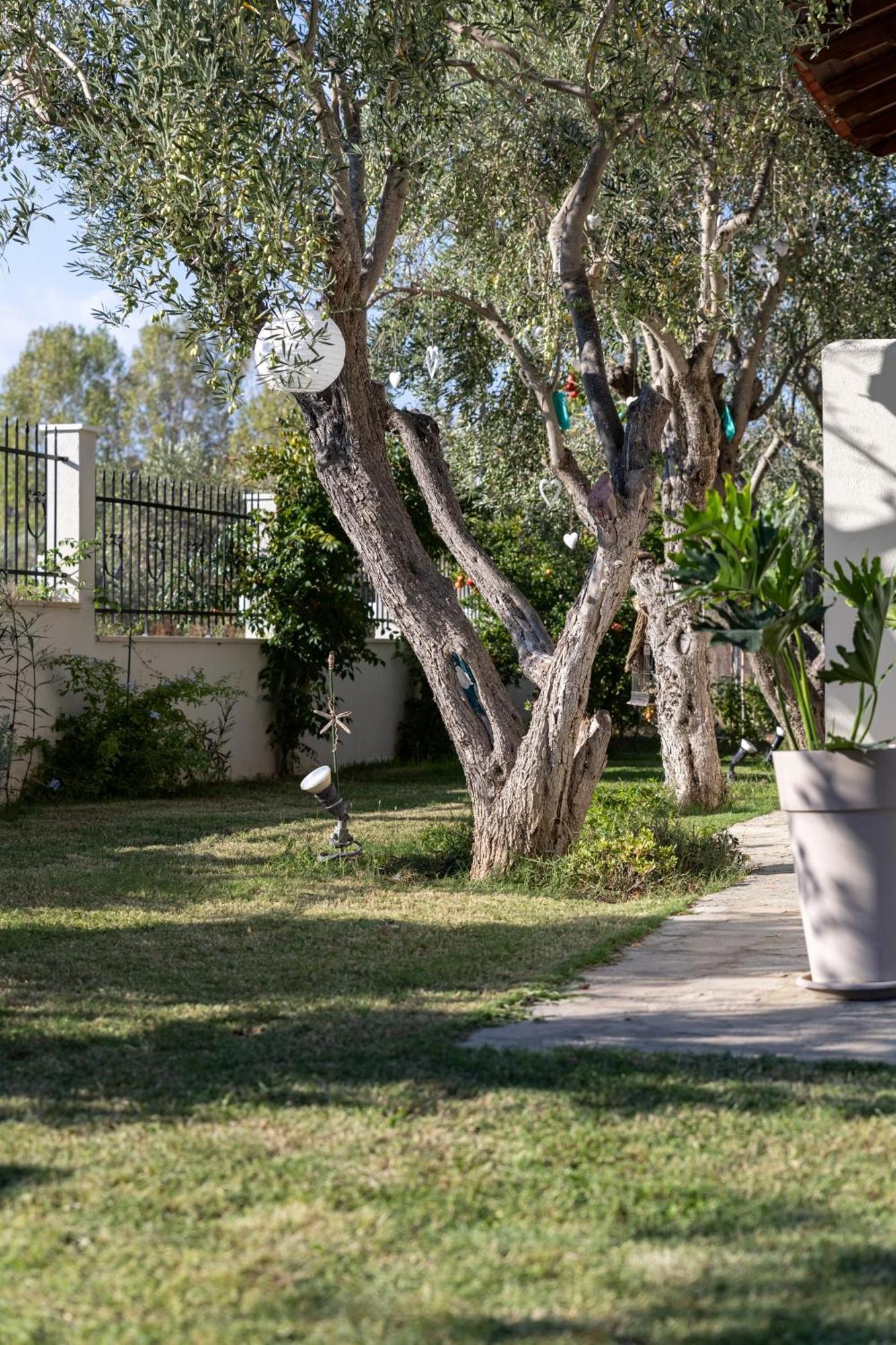 Villa Joy Ormos Panagias Exterior photo